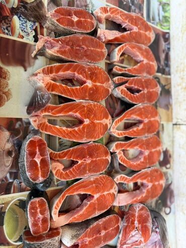 пила для резки мяса и костей: Жаңы кармалган