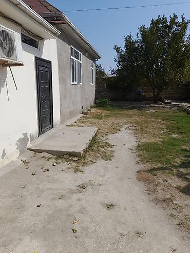 terea satisi: Həyət evi Neftçala seheri– geniş həyət və müstəqil tikili, qiymetde — 1
