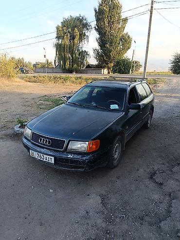2 моно: Audi 100: 1992 г., 2 л, Механика, Бензин, Универсал — 2