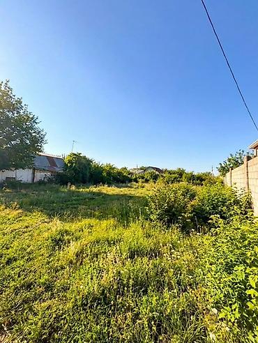 Жер тилкелери: 5 соток, Курулуш, Сатып алуу-сатуу келишими, Кызыл китеп — 4