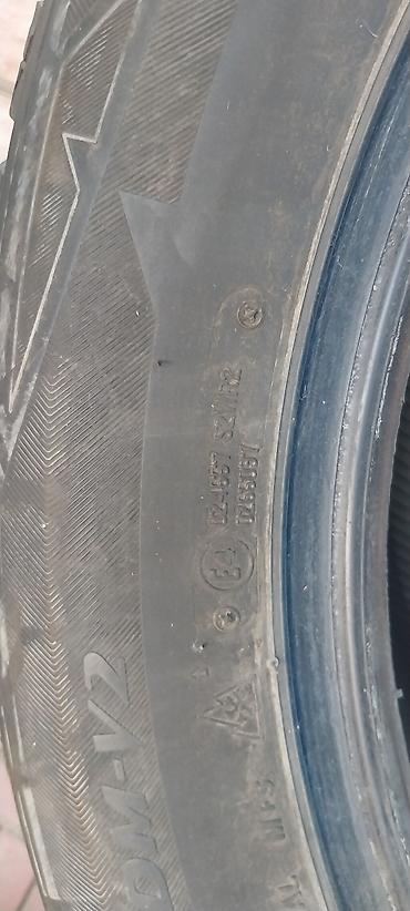bridgestone blizzak: Зимняя шина Bridgestone Blizzak DM-V2. - Размер: 245/55 R19 103T (XL — 3