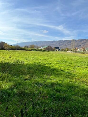 Torpaq sahələrinin satışı: 18 sot, Tikinti, Kupça (Çıxarış) — 13