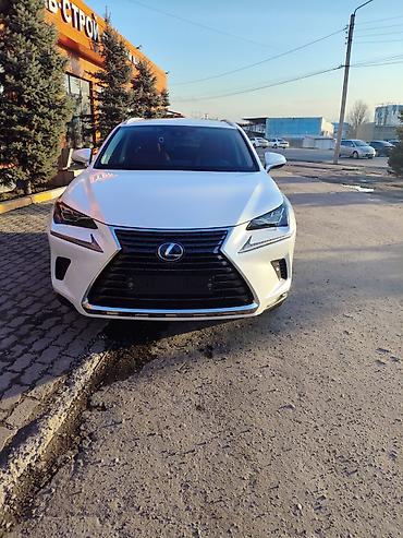 Lexus: Lexus NX: 2019 г., Вариатор, Гибрид, Кроссовер — 1