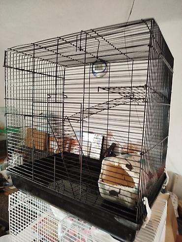 Зоотовары: Продаются клетки 47.28.46. гамаки 250 сом, домики 250 сом поильники — 6