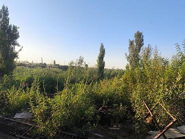 купить бытовку для дачи: Коровник/скотный двор с крытыми загонами и подъездом - Капитальные — 5