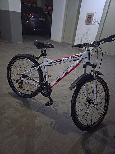 Dağ velosipedləri: Forward Quadro 1.0 velosipedi - Rəng: ağ/qırmızı-qara qrafikalar - — 1