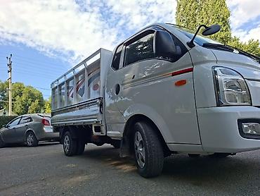 Транспорт: Hyundai Porter: 2019 г., Типтроник, Дизель, Бус — 8