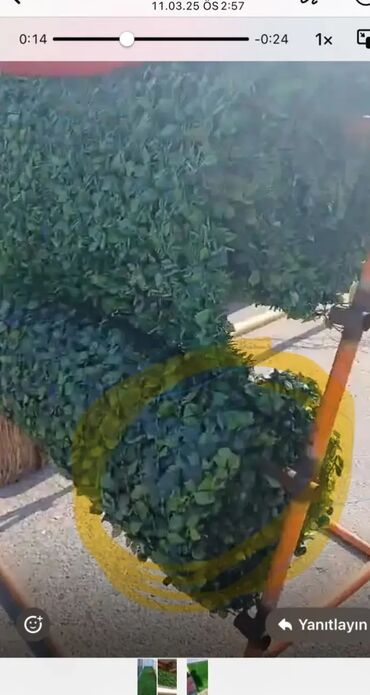 Xalçalar: Xalça Türkiyə -da lalafo.az — 2 Xalçalar: Xalça Türkiyə — 2