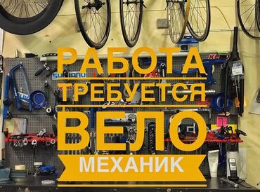 вакансия тренер по шахматам: Требуется Автомеханик Процент от дохода, Без опыта, Обучение