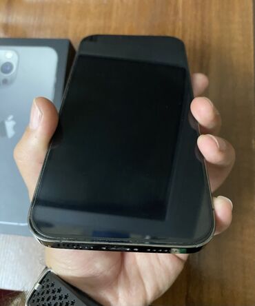 Apple iPhone: IPhone 13 Pro Max, 256 GB, Matte Silver — 5