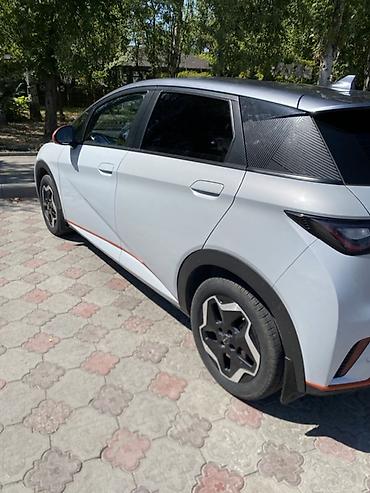 byd дельфин: BYD Dolphin: 2022 г., Автомат, Электромобиль, Хэтчбэк — 4