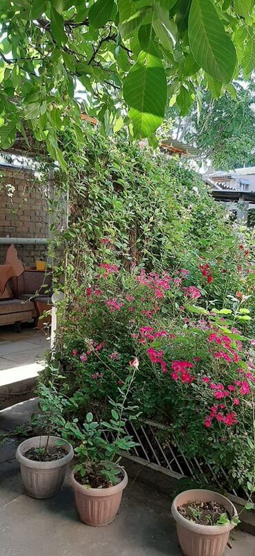 Продажа домов: Дом, 105 м², 4 комнаты, Собственник — 9