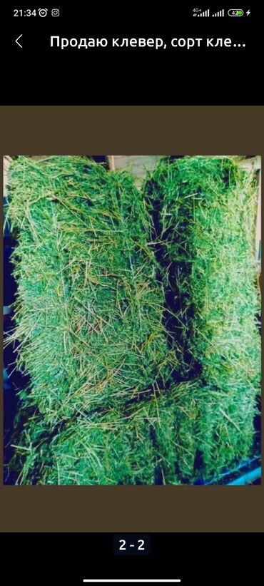 кофе 3 в 1: Сена срочно первый коз чистый