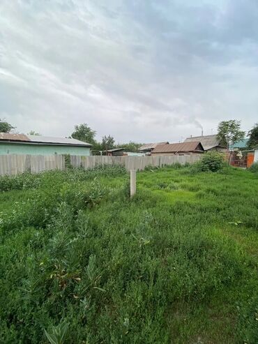 анар бак участок: 7 соток, Кызыл китеп