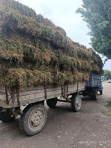 зелёный корм: Сено в тюках/кирпичах, свежий укос. Натуральные луговые травы, без — 1
