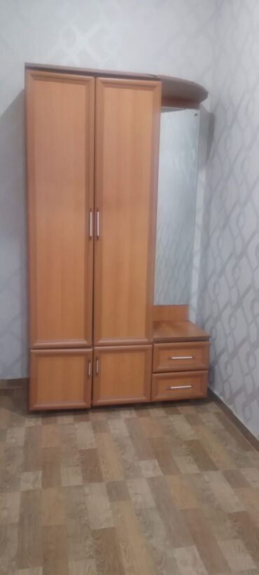 ZX: İşlənmiş, Açılan, 2 qapılı Düz dolab, Dəhliz dolabı