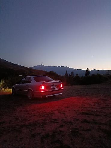 bew e34: BMW 5 series: 1993 г., 2.5 л, Механика, Бензин, Седан — 7