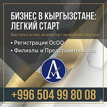 305: Юридические услуги | Трудовое право, Финансовое право | Консультация, Аутсорсинг — 1