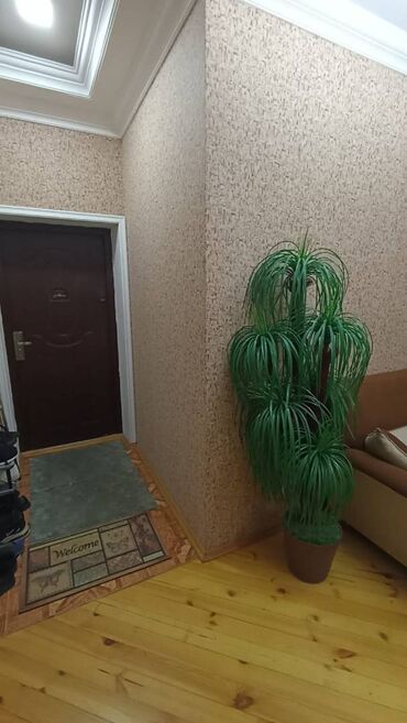 Yeni tikili: 2 otaqlı, Yeni tikili, m. Həzi Aslanov, 78 kv. m — 4