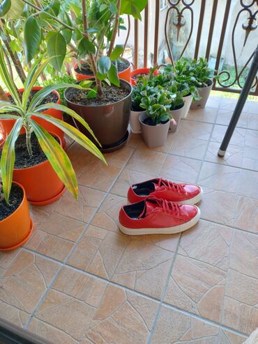 Sneakers & Athletic shoes: 40, color - Red