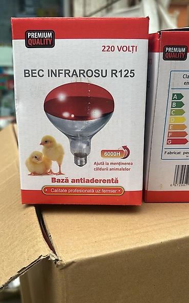 fermer: İnfraqırmızı lampa R125 – heyvanların qızdırılması üçün 150,200,250 — 1