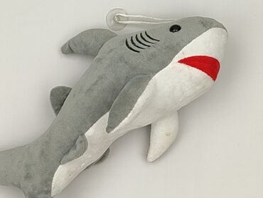 Mascot condition - Very good