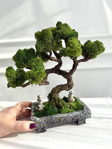 Декоративные цветы: Деревья-бонсай из натурального стабилизированного мха🌳 -это — 75