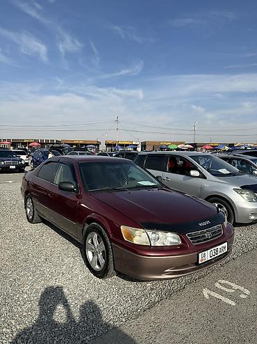 подвыкуп машина: Toyota Camry: 2000 г., 2.2 л, Автомат, Бензин, Седан — 3