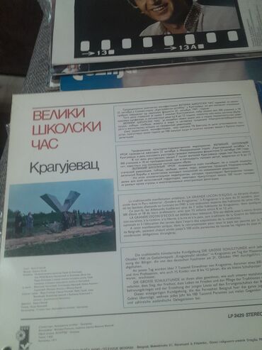 Vinil ploče: Vinil ploče – kolekcija domaće i strane muzike - Ljuba Aličić i — 13