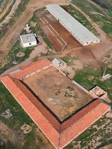 Продажа сельхоз предприятий: Кошара, 82 соток, Действующий, Частично с оборудованием, Электричество — 2