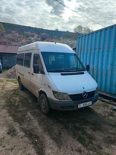 Mercedes-Benz: Mercedes-Benz Спринтер: 2002 г., Дизель, Бус — 1
