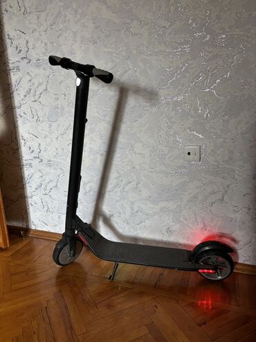 Elektrik samokat > 12", ≤ 250 Vt, 16 - 25 km/s