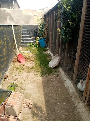 suraxan: 3 sot, Makler, Kupça (Çıxarış) — 3