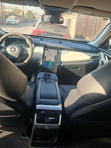 hongqi ehs9: Weltmeister EX5, 2020 г. — 10
