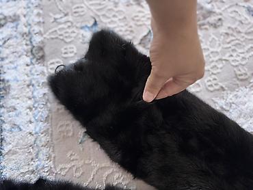 Шубы: Шуба, Короткая модель, Трансформер, S, M — 2
