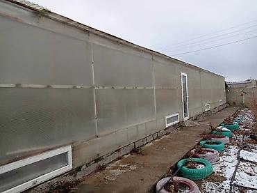 premium development: С оборудованием, Действующий, 240 м² — 4