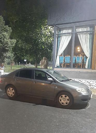 зеркало левая сторона тайота каролла: Toyota Corolla: 2005 г., Механика, Бензин, Седан — 2