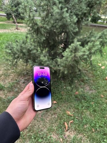 акнет ош: IPhone 14 Pro Max, Deep Purple