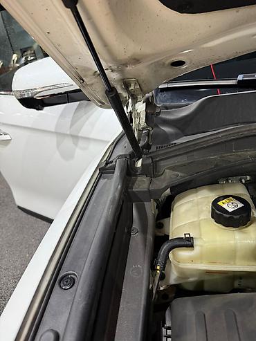 Ssangyong: Ssangyong Rexton: 2019 г., 2.2 л, Типтроник, Дизель, Внедорожник — 11