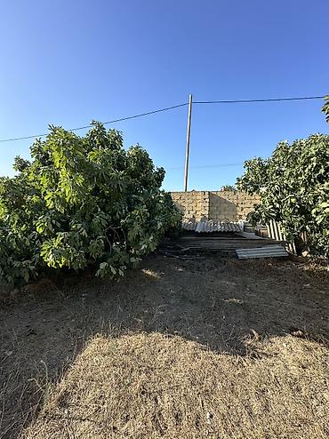 qəbələ torpaq: 4 sot, Tikinti, Maklerlər narahat etməsin, Kupça (Çıxarış) — 3