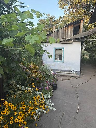 Продажа коттеджей и домов: Продается дом с участком 8,5 соток маевка Участок правильной формы — 3