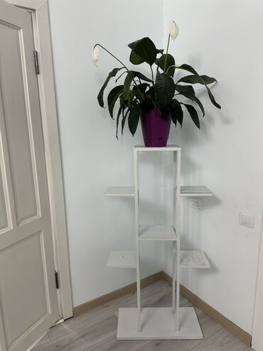 офисные шкафы: Гүлдөр үчүн секичелүү текче, Темир, Акылуу жеткирүү