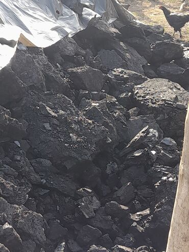 датчик положения дроссельной заслонки опель вектра б: Toyota Camry: 2018 г., Механика, Дизель