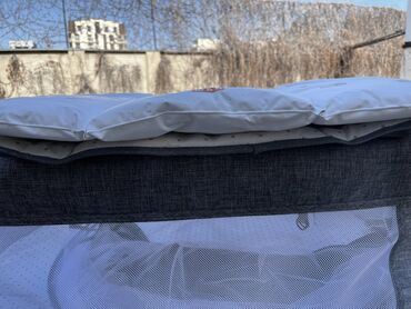 Детские односпальные кровати: Детские односпальные кровати — 18