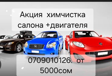 офисные растения: Унаа жуучу жай | Кыймылдаткычты жуу