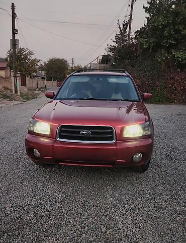 обмен на аутбек: Subaru Forester: 2003 г., 2 л, Автомат, Бензин, Кроссовер — 1