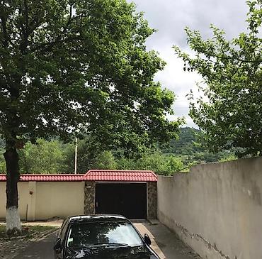 Bağ evlərinin kirayəsi: 250 kv. m, 5 otaqlı -da lalafo.az — 7 Bağ evlərinin kirayəsi: 250 kv. m, 5 otaqlı — 7