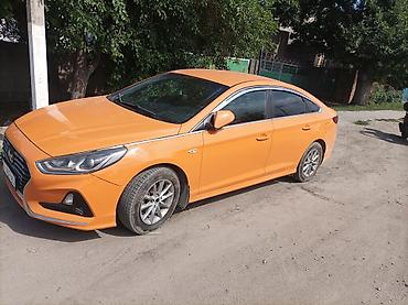 кызыл кия кыз: Hyundai Sonata: 2017 г., Газ, Седан — 6