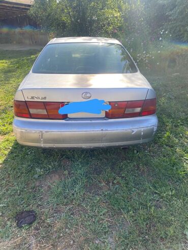 тойота виндом бампер: Toyota Windom: 1997 г., 2.5 л, Автомат, Бензин, Седан