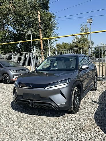 рулевой карданчик: BYD Yuan Up: 2025 г., Автомат, Электромобиль, Внедорожник — 1